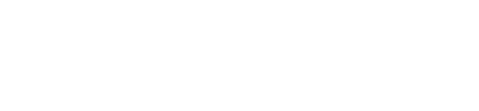 Holiday Lifestyle logo
